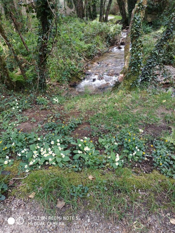 Ponteceso Costa Da Morte "Paraiso De Galicia" מראה חיצוני תמונה